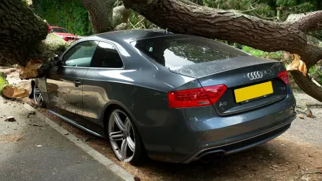 How Did Aviva Help Crack a Classic Car Insurance Scam?